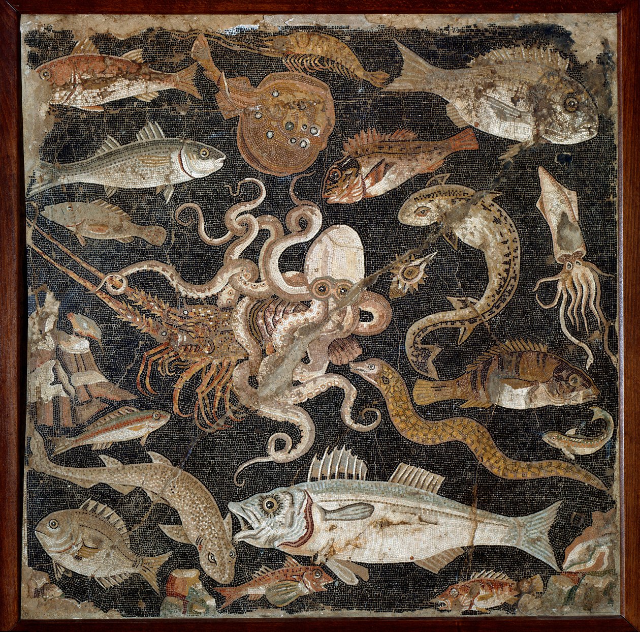 Romersk kunst: "" Marine fauna"" Mosaik fra det 2. århundrede. Napoli, Nationalt Arkæologisk Museum, inv. 120177 - Romersk kunst: Marine liv. Mosaik fra det 2. århundrede f.Kr. Nationalt Arkæologisk Museum, inv. 120177, Napoli, Italien. af Roman