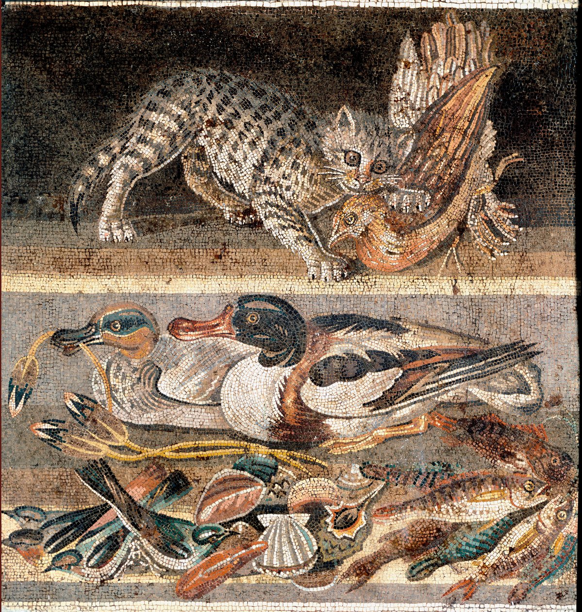 Romersk kunst: kat spiser en agerhøne og vildænder Første halvdel af 1. f.Kr.) Rom, Museo Nazionale Romano af Roman