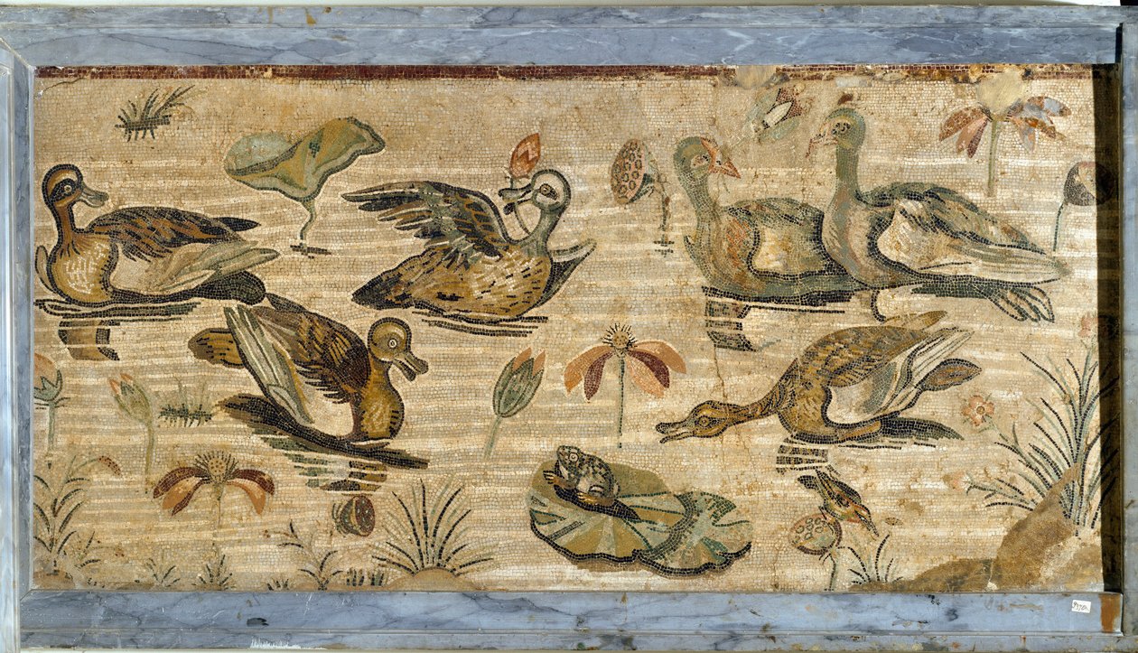 Romersk kunst: and, frø og åkander i en dam. Mosaik fra faunavillaen i Pompei. 1. århundrede. Svag. 132x164 cm. Museo Archeologico Nazionale, Napoli af Roman