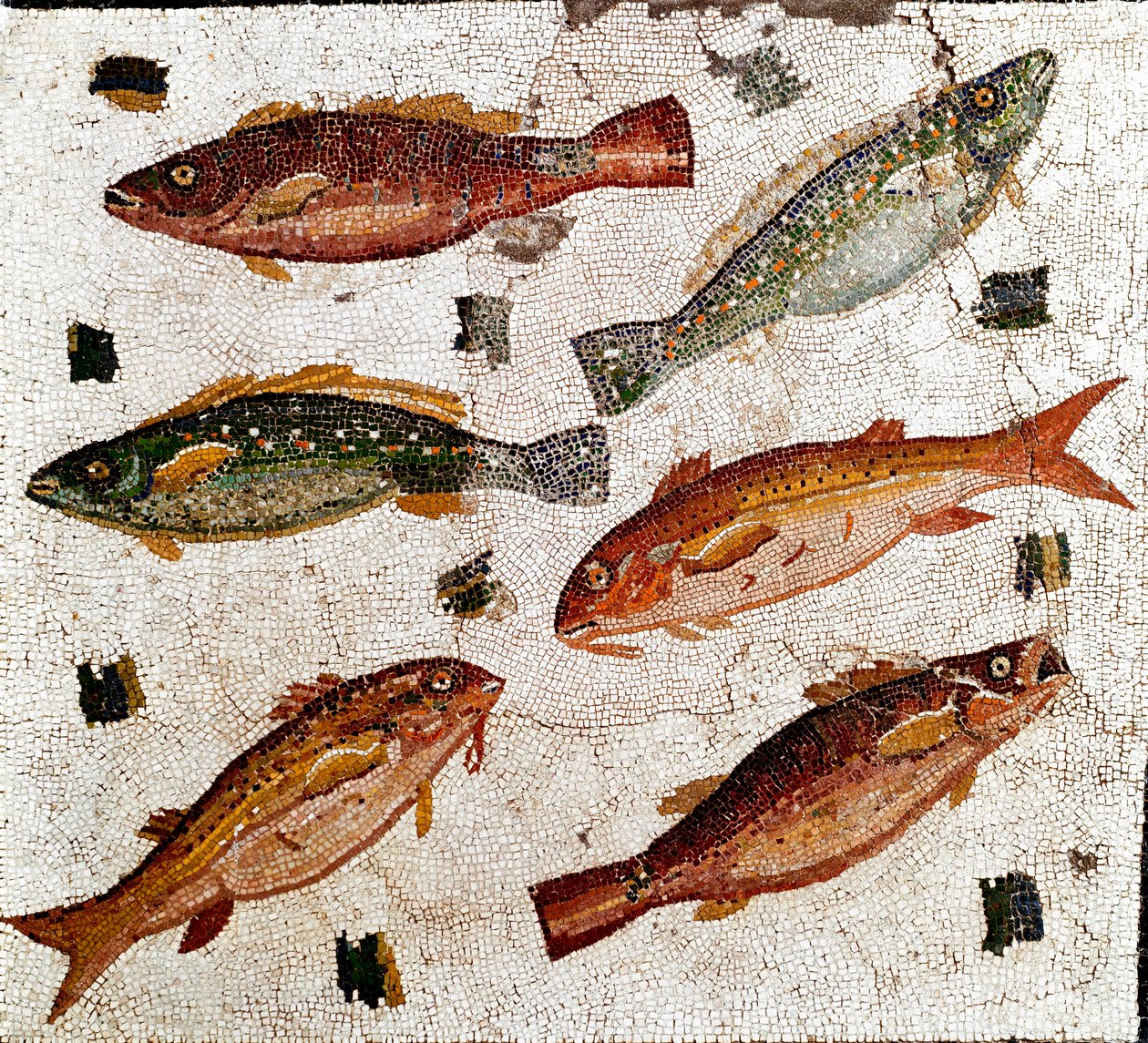 Romersk kunst: mosaik, der repræsenterer fisk. 1. århundrede f.Kr. Rom, National Roman Museum - Romersk kunst: Mosaik, der forestiller fisk. 1. århundrede f.Kr. Romano Nationalmuseum, Rom, Italien af Roman