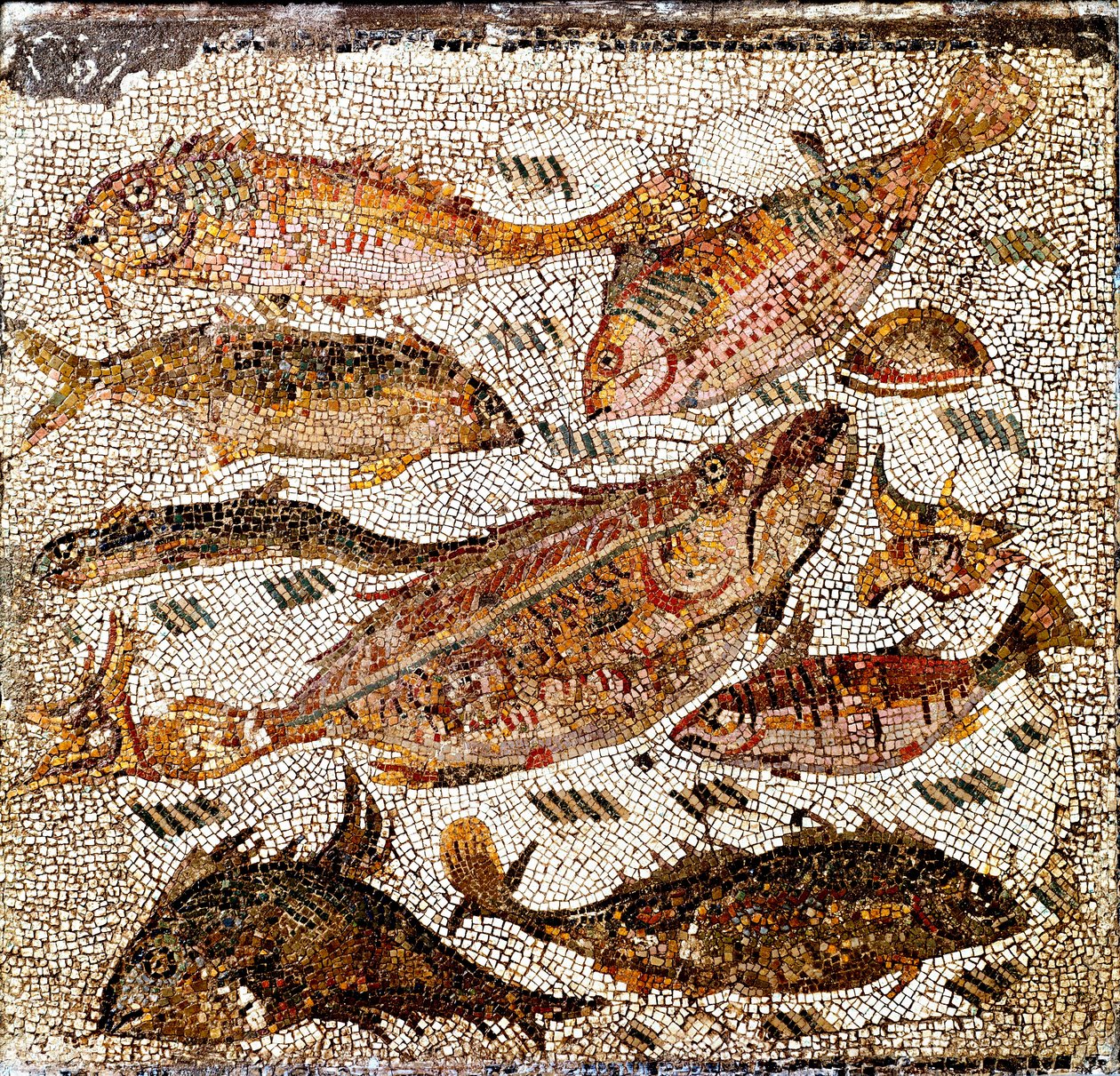 Romersk kunst: mosaik, der repræsenterer fisk. 1. eller 2. århundrede e.Kr. Fra Villa dei Settimii på Via Cassia. Rom, Museo Nazionale Romano -romersk kunst: mosaik, der forestiller fisk. 1. eller 2. århundrede e.Kr. Fra Villa dei Settimii, Via Cassia. Nat af Roman