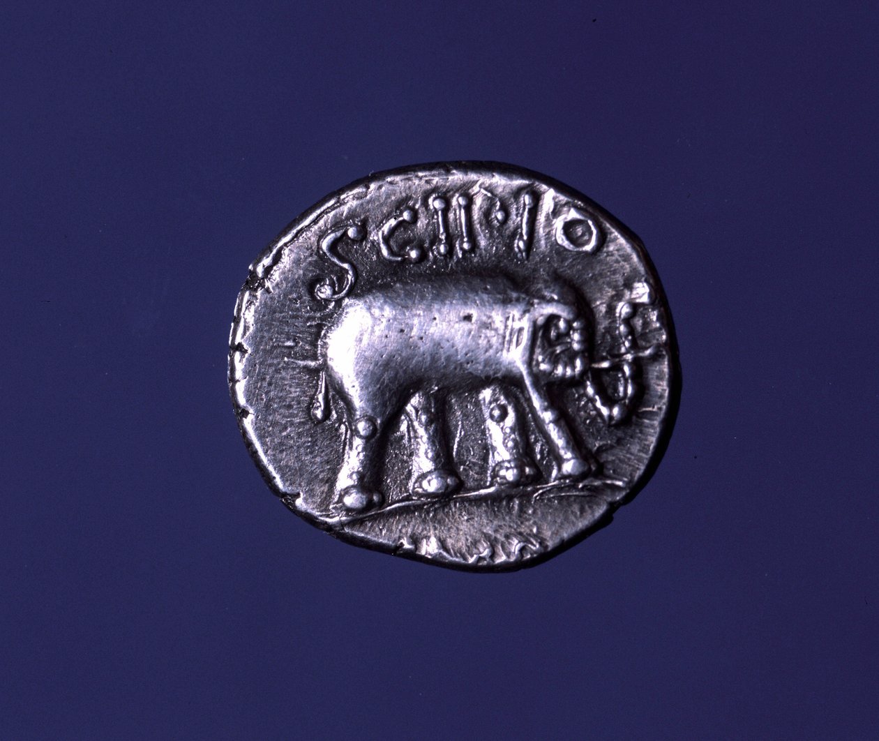 Sølvmønt, der repræsenterer en elefant, fetichedyr fra Scipions. Lucius Caecilius Metellus beslaglagde de karthagiske elefanter i 251 f.Kr. 47-46 f.Kr. af Roman