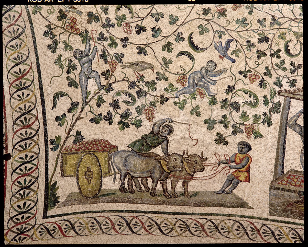 Druehøsten (mosaik) af Roman