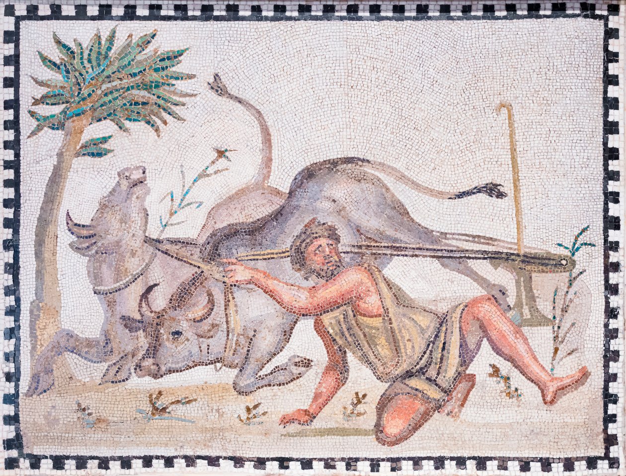 Plovmanden med okser, 3.-4. århundrede (mosaik) af Roman