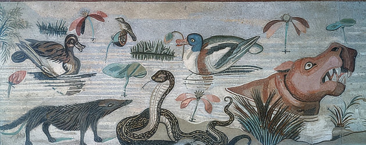 Dyr i Nilen, fra Faunens Hus (Casa del Fauno), Pompeji af Roman