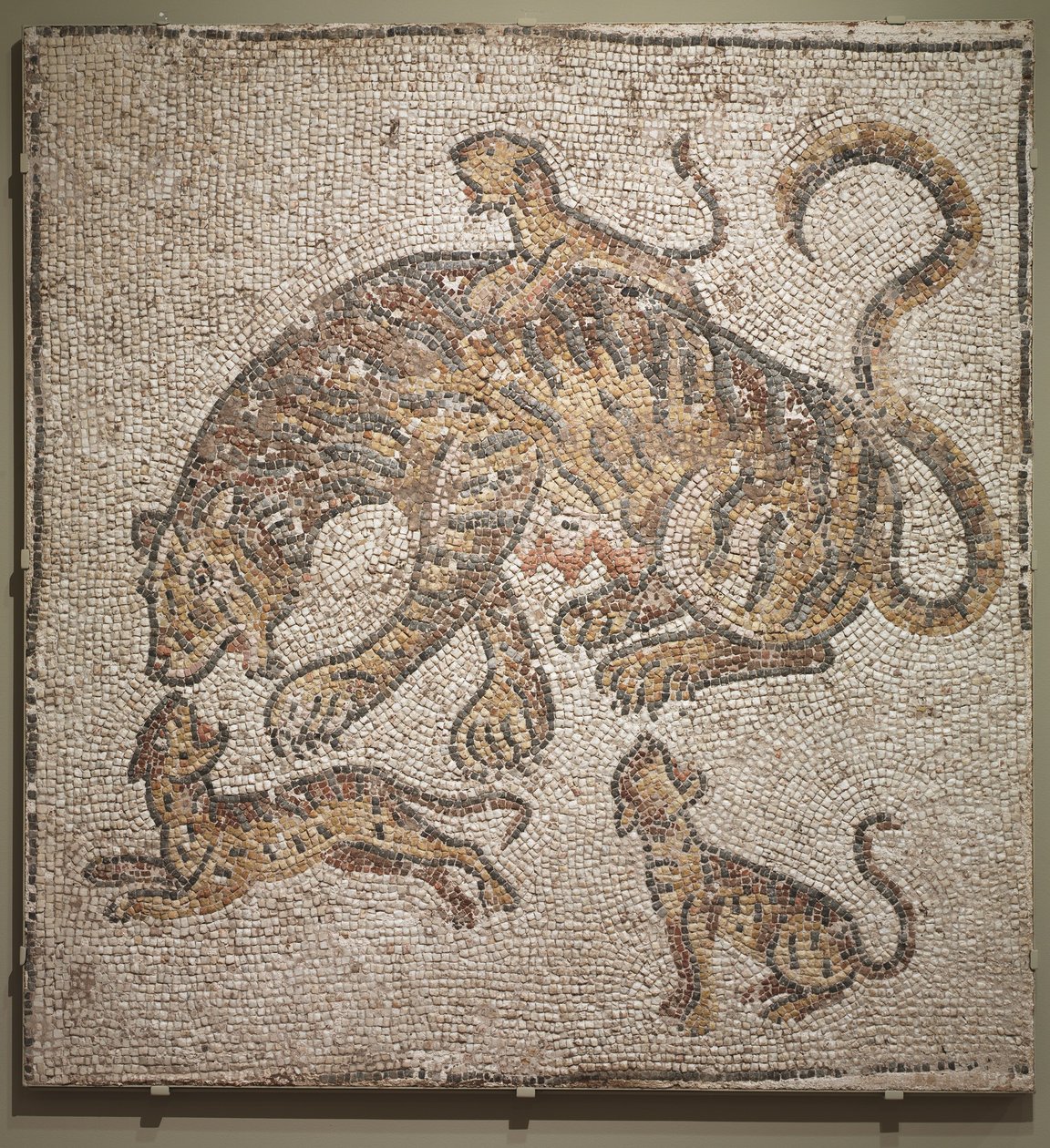 Tigress and Cubs, c.300 ADdani af Roman