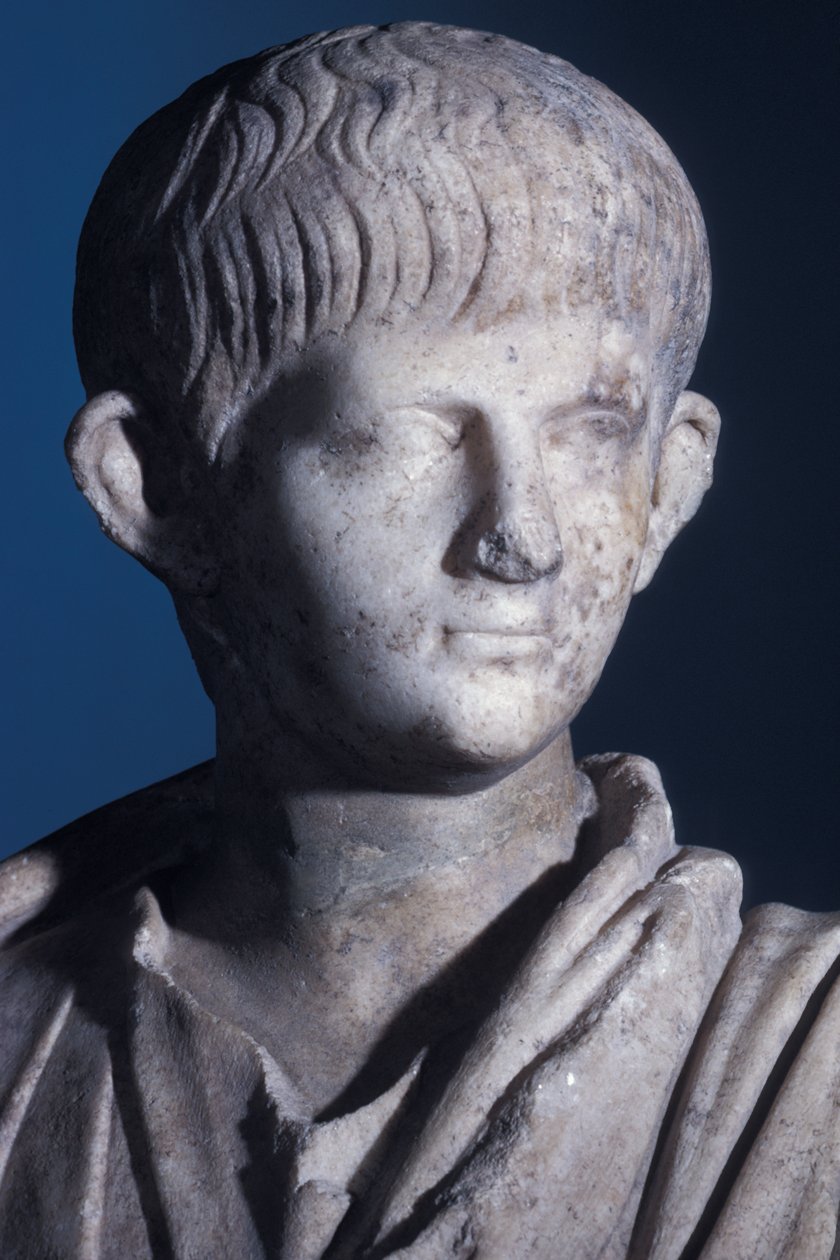 Togate-statue af den unge Nero, hovedet set forfra, ca. 50 e.Kr. (marmor) (detalje fra 140378) af Roman