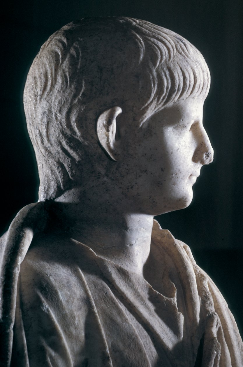 Togate-statue af den unge Nero, set fra siden af hovedet, ca. 50 e.Kr. (marmor) (detalje af 140378) af Roman