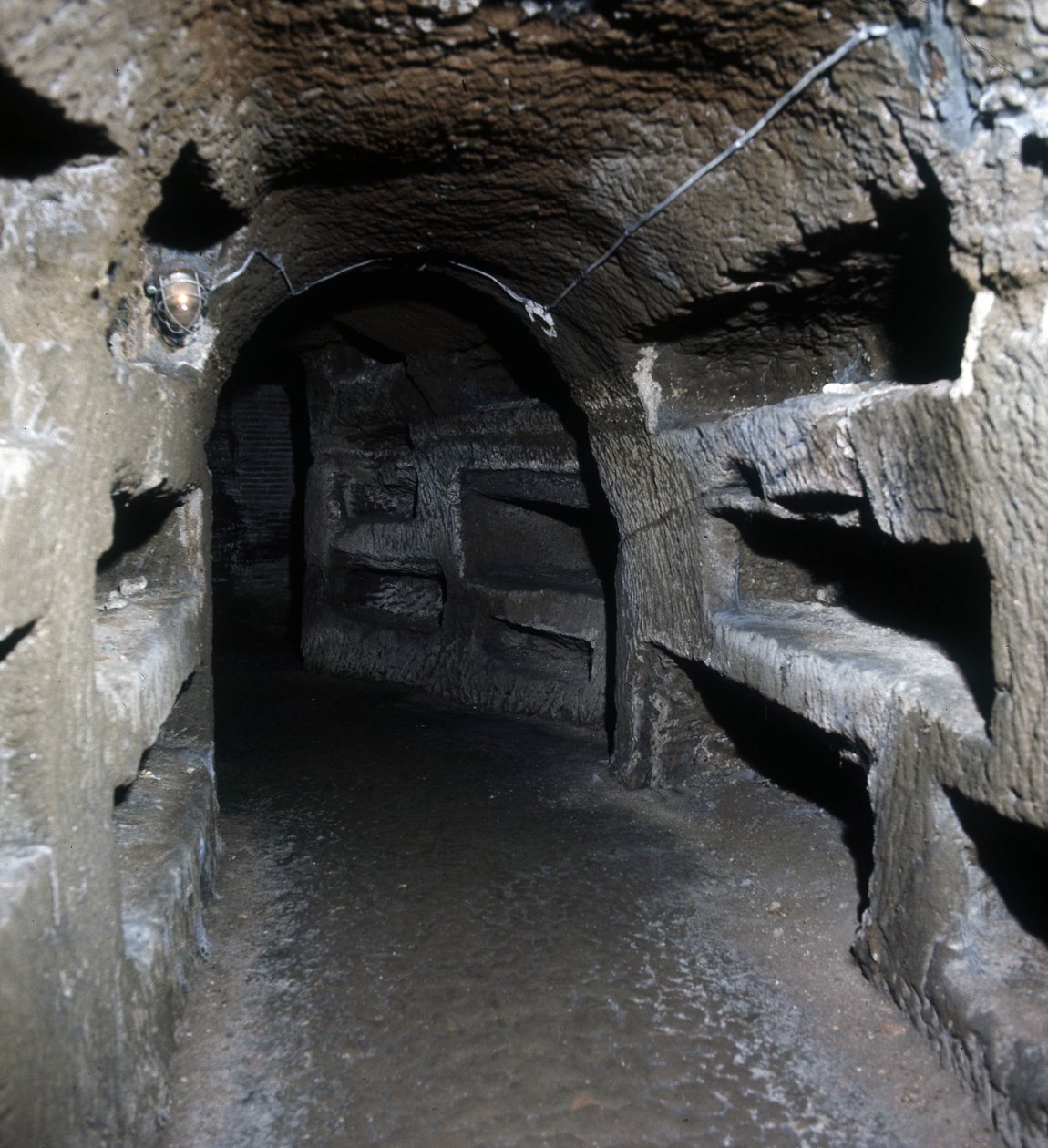 Scipionis grav i Rom. af Roman
