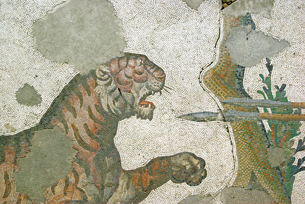 Ukendt billede af Roman