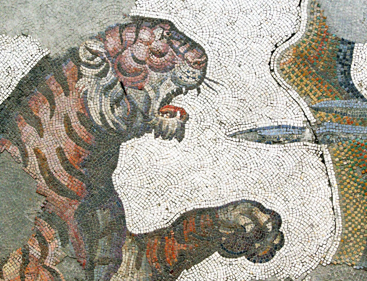 Ukendt billede af Roman