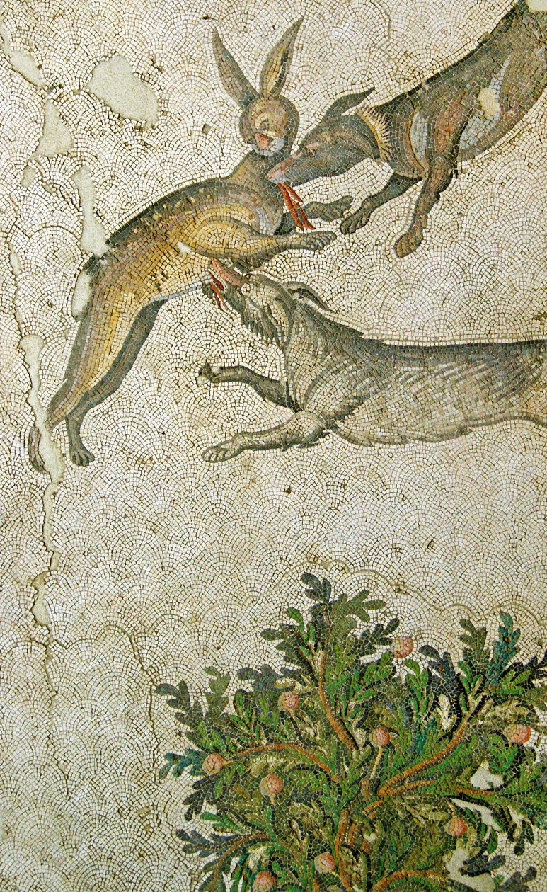 Ukendt billede af Roman