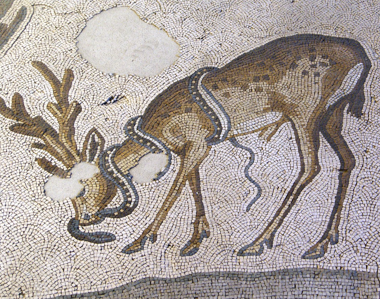 Ukendt billede af Roman