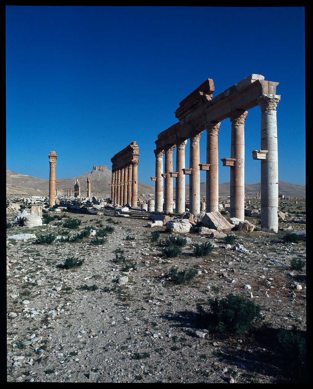 Udsigt over Palmyra-rester (Fotografi) af Roman