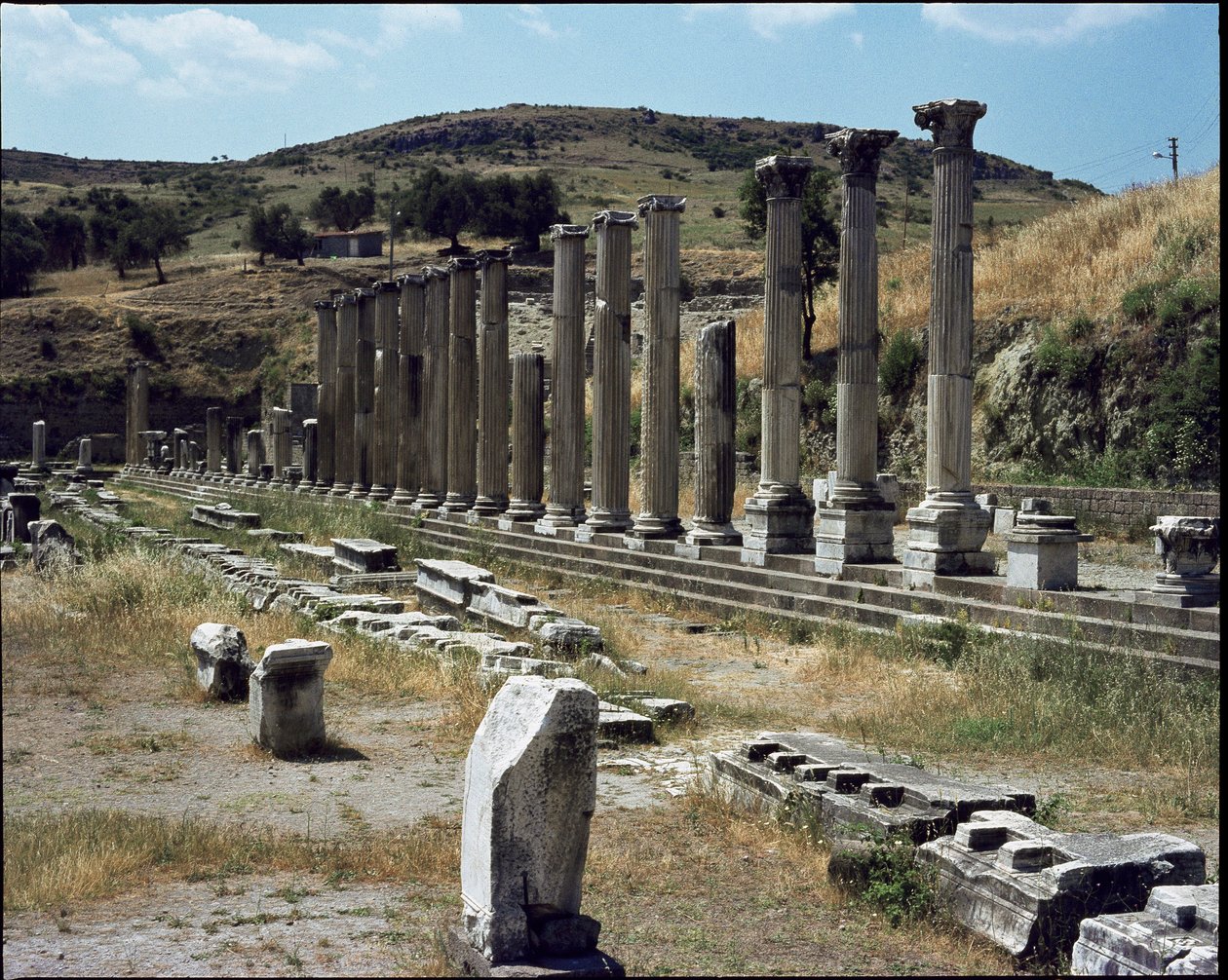 Udsigt over helligdommen Asklepios (283 til 133 f.Kr.) af Roman