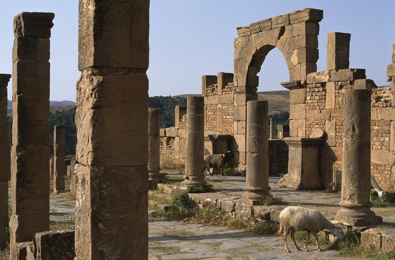 Cardo og adgang til Cosinius-markedet, højkejsertid (27 f.Kr.-395 e.Kr.) af Roman Imperial Period