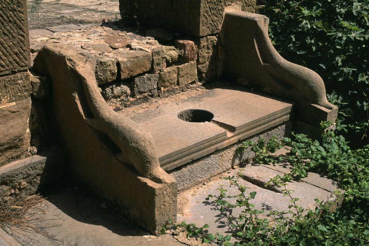 Delfin armest offentligt toilet i forummet; Den høje kejserperiode (27 f.Kr.-395 e.Kr.) af Roman Imperial Period