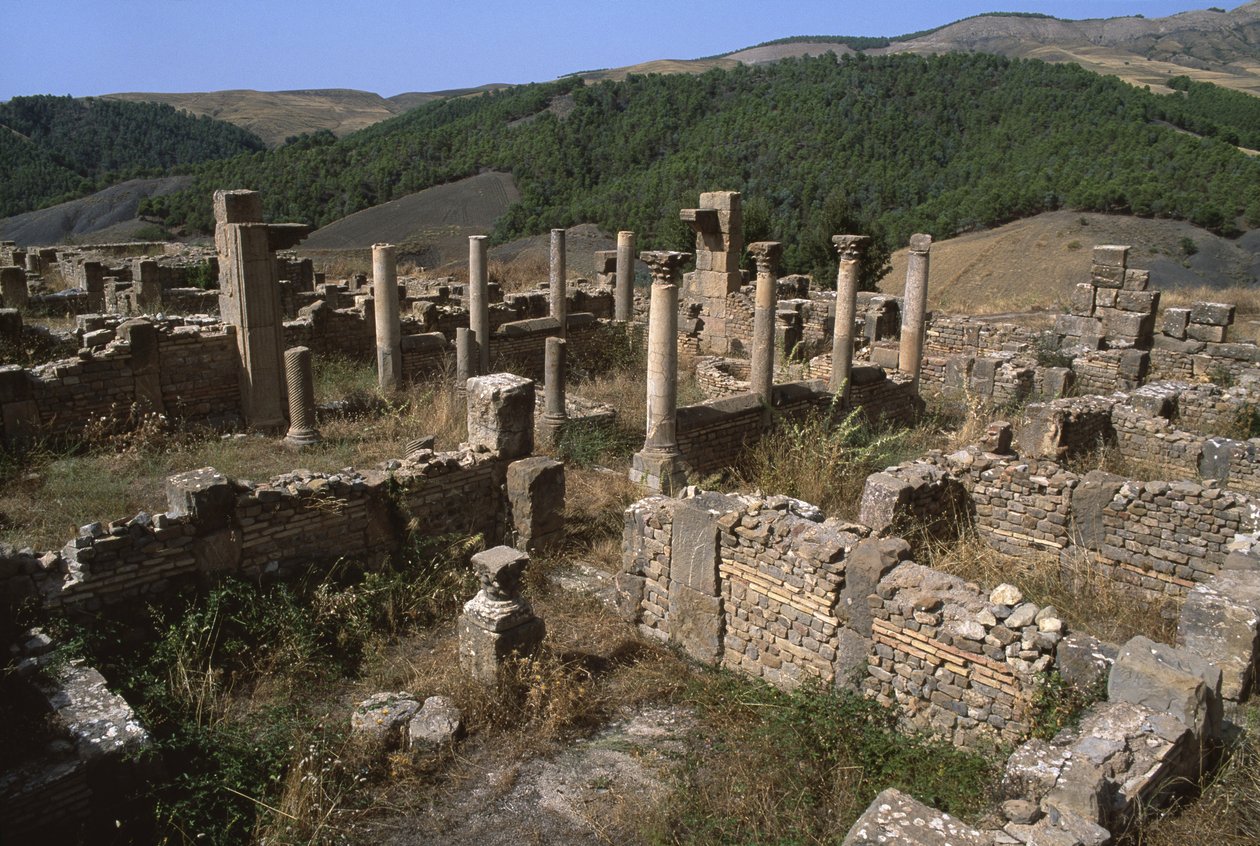 Udsigt over et boligområde, højkejsertid (27 f.Kr.-395 e.Kr.) af Roman Imperial Period