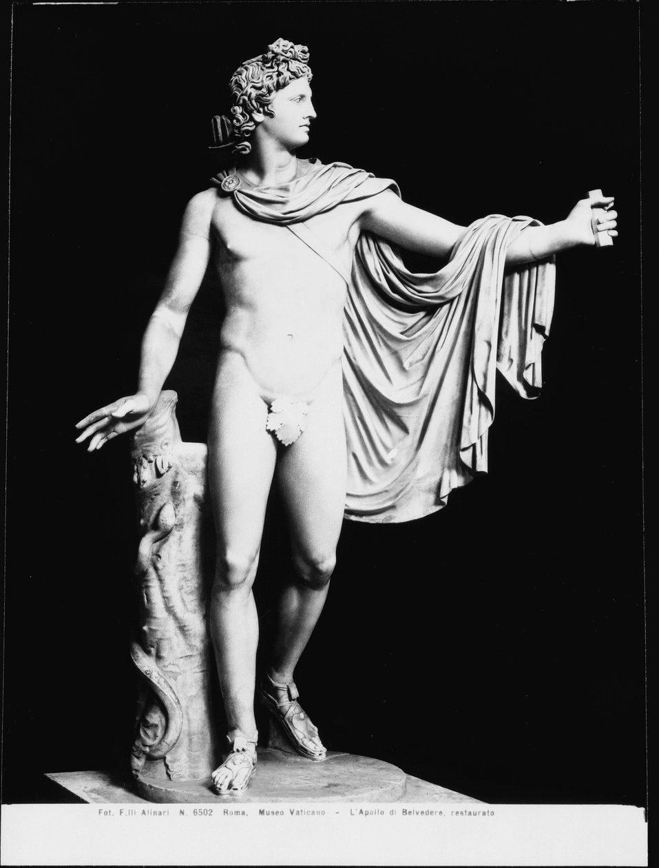 Apollo Belvedere, romersk kopi af en græsk original fra det 4. århundrede f.Kr. (marmor) (s/h foto) (efter restaurering) af Roman Roman