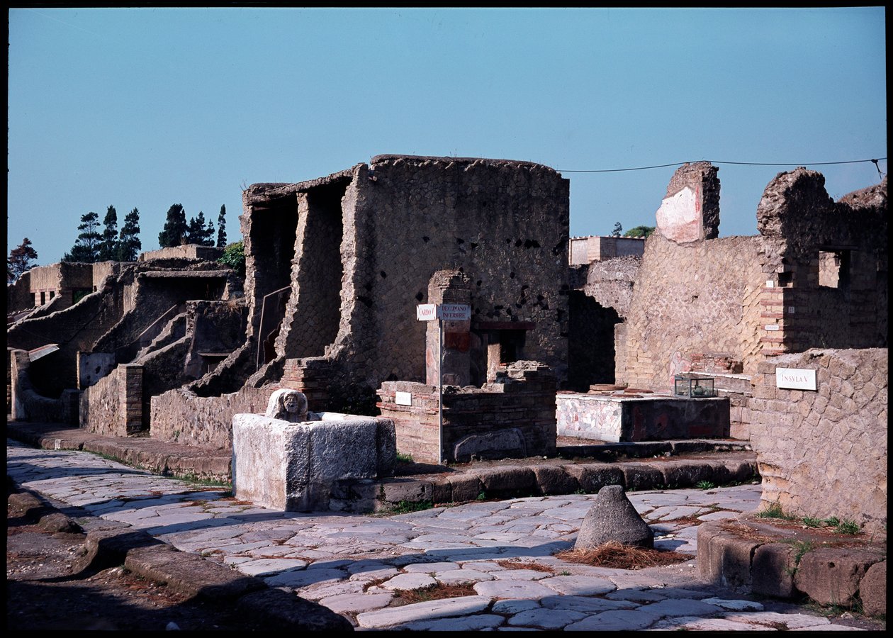 Korsvej mellem cardo V og nedre decumanum, 5. århundrede f.Kr.-1. århundrede e.Kr af Roman Roman