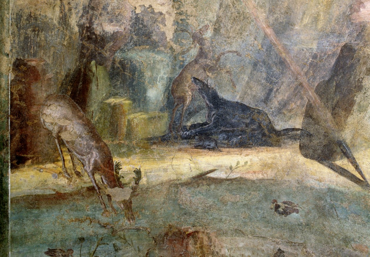 Hjorte angrebet af hund, detalje fra Actaeon fortæret af hans hunde, fresko fra House of Menander, Pompeji (UNESCOs verdensarvsliste af Roman Roman