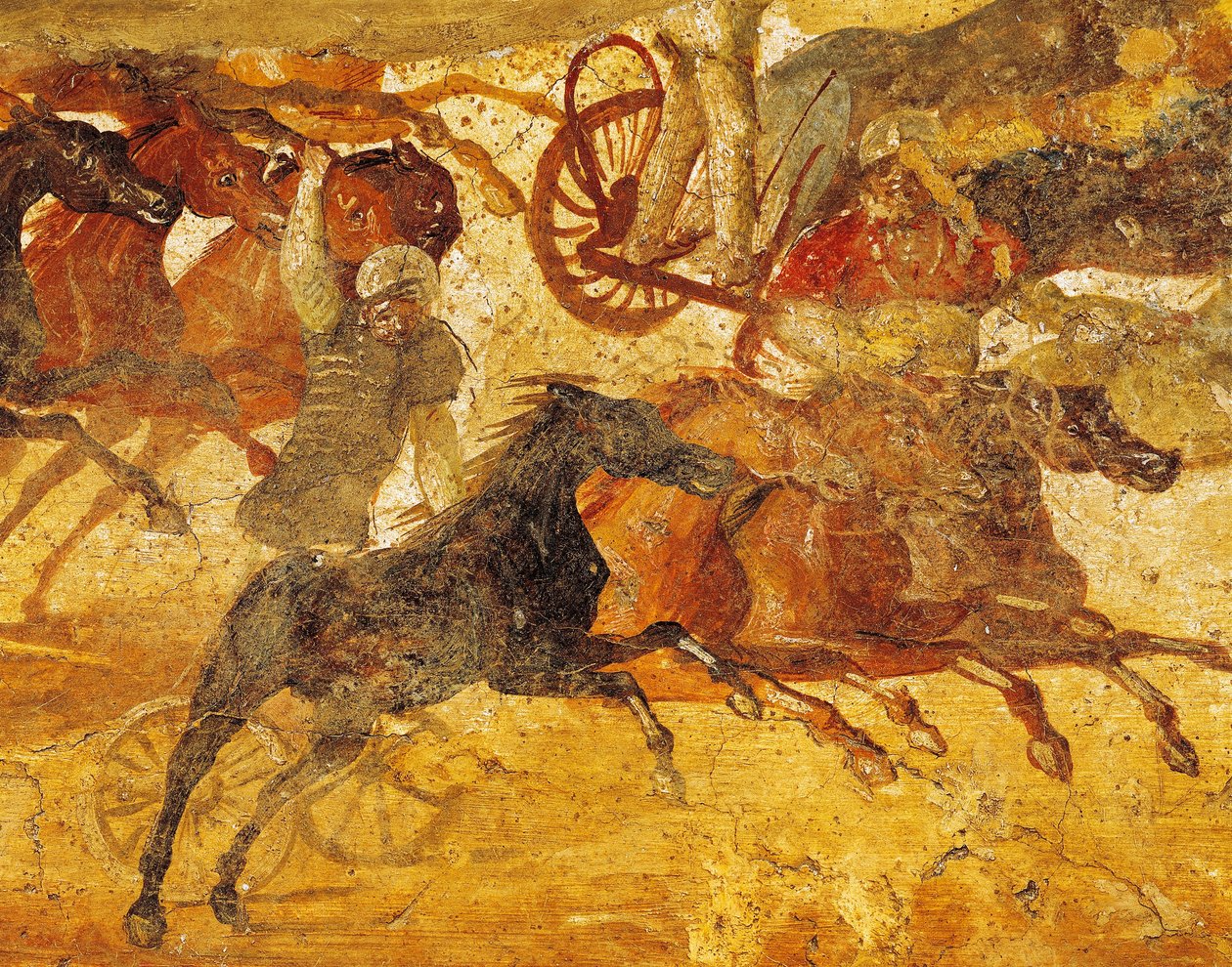 Yksityiskohta freskosta, joka kuvaa qurigas-kilpailua Pompejista, Italiasta af Roman Roman