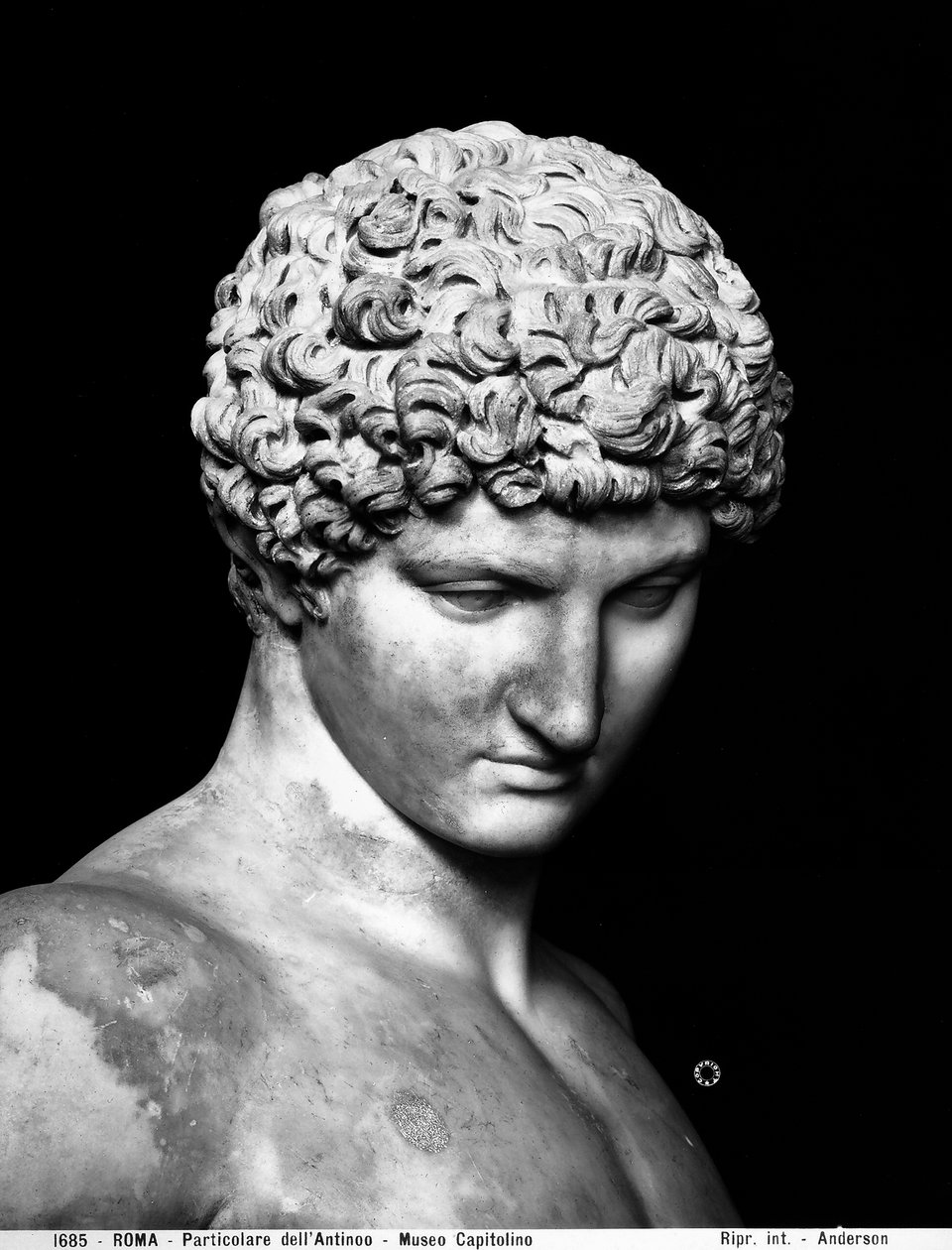 Detalje af Antinous (marmor) af Roman Roman
