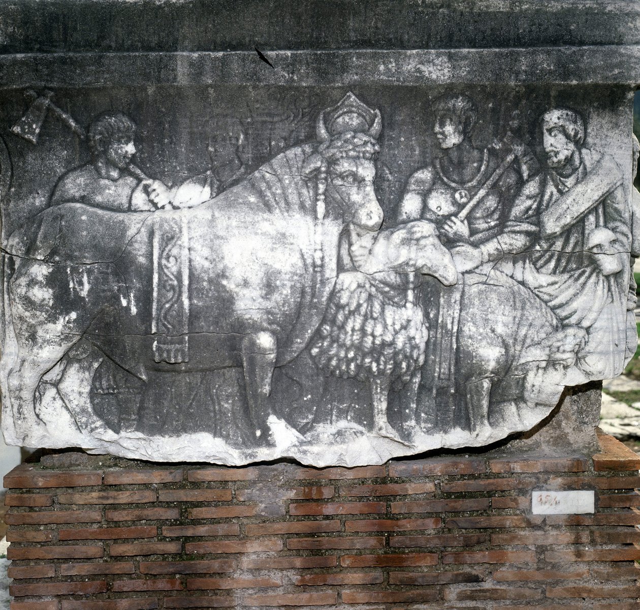 Foro Romano: Suovetaurilia (ofring af en gris, en vædder og en tyr). Rom af Roman Roman