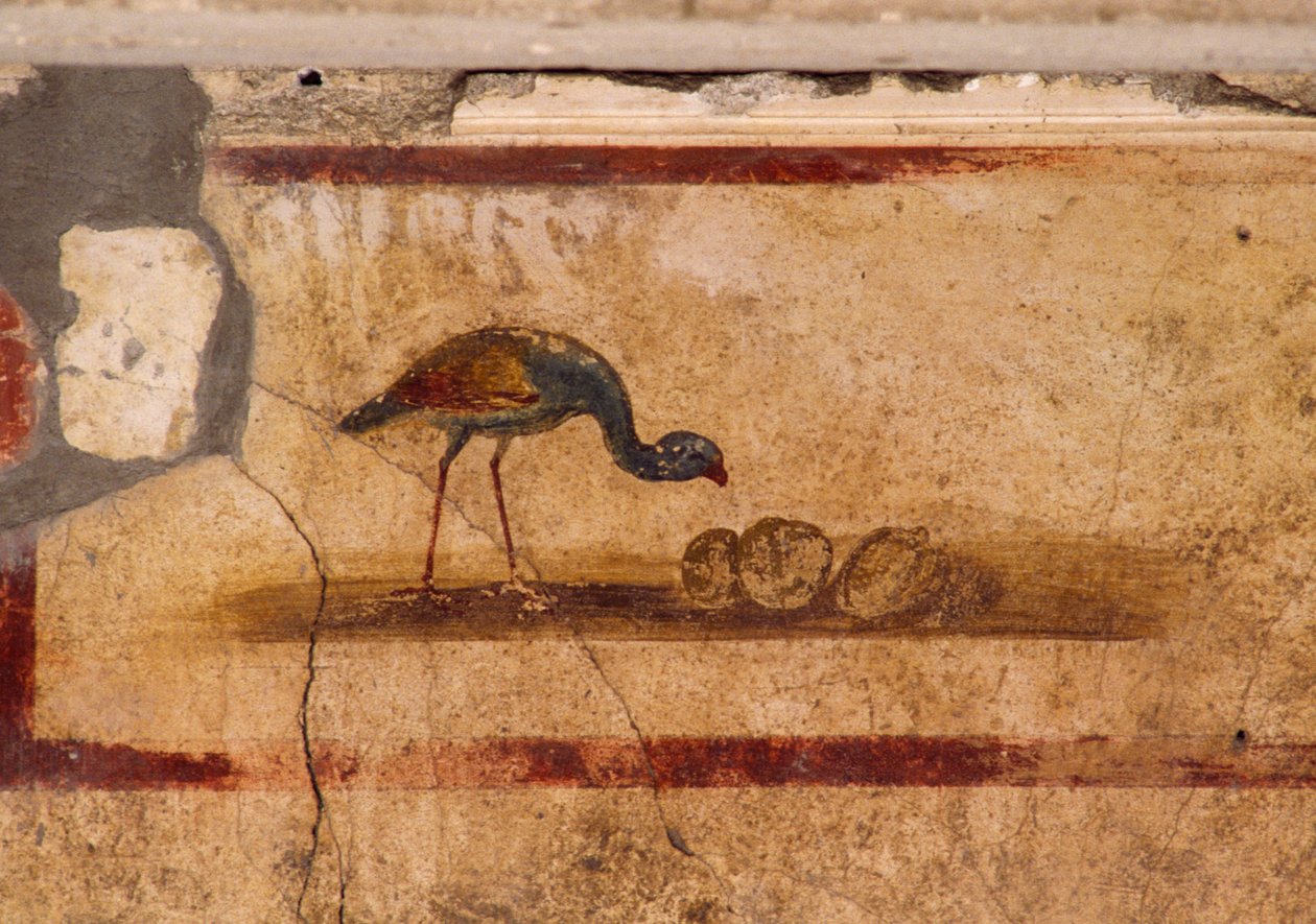 Fresko af en fugl fra peristylium i Caius Julius Polybius hus, Pompeji (UNESCOs verdensarvsliste af Roman Roman