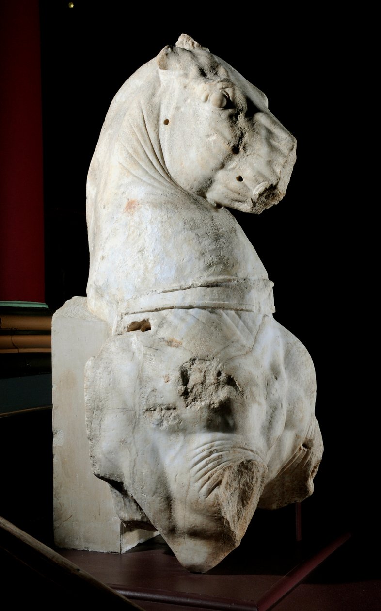 Forreste del af en hest (marmor) (se også 371183 & 371184) af Roman Roman