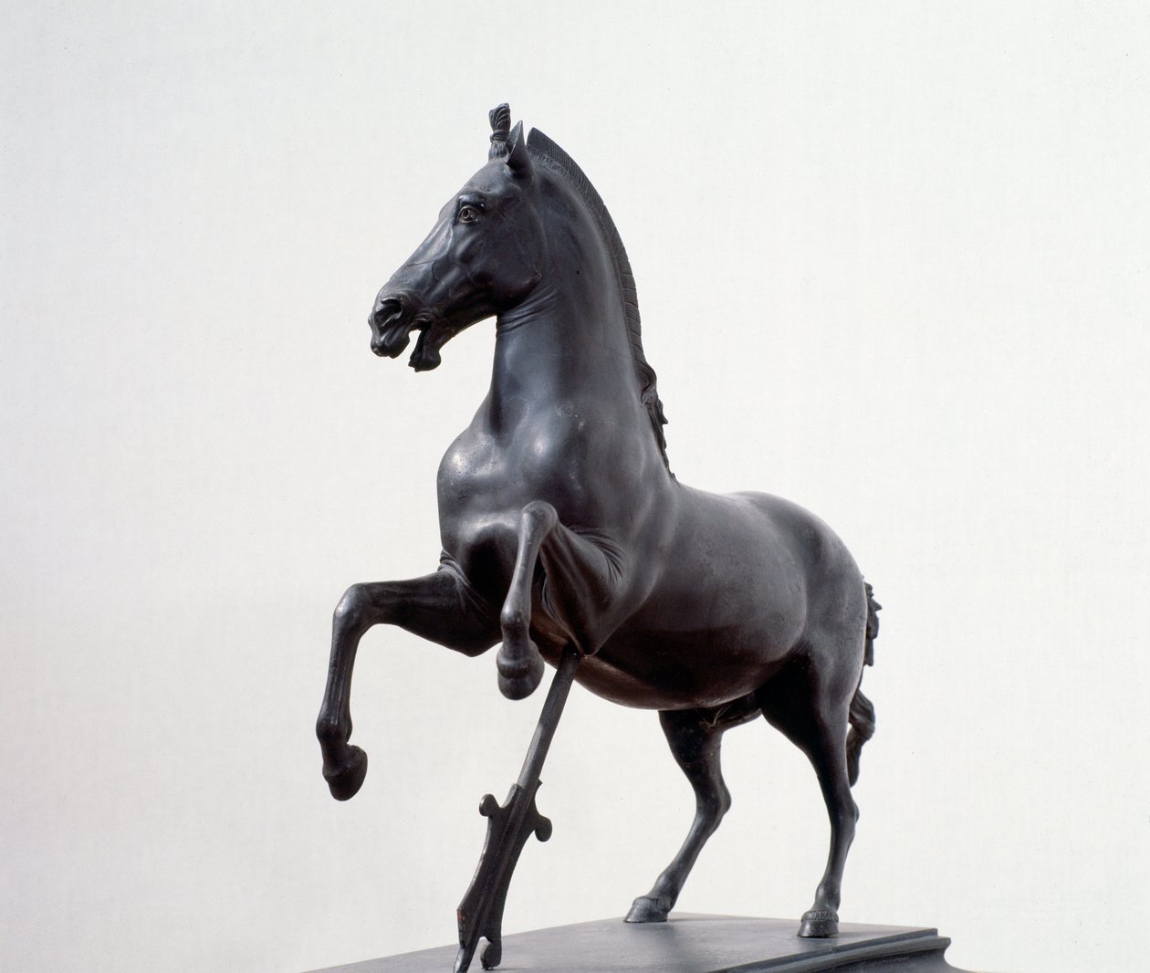 Galoperende hest (Bronzeskulptur efter en græsk original fra det 4. århundrede f.Kr.) af Roman Roman