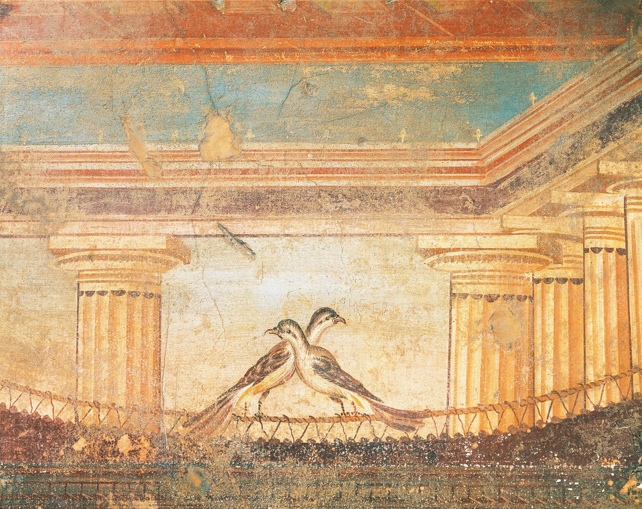 Hera Sannita fresko af fugle, House of Labyrinth, Pompeji, Campania, romersk civilisation af Roman Roman