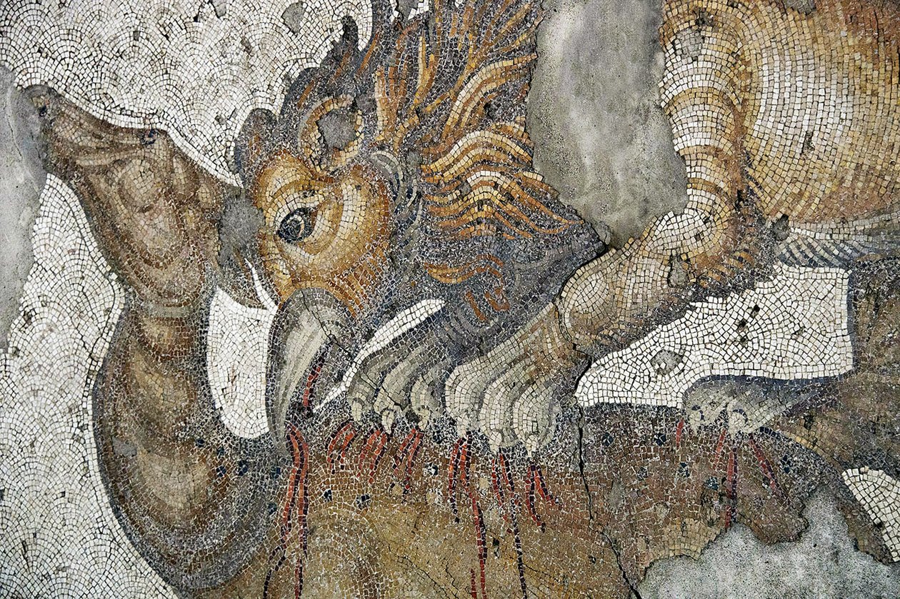 Mosaik, der viser en løve Griffon, der angriber en hjort, Arasta Bazaar, Sultan Ahmet-moskeen, Istanbul. af Roman Roman