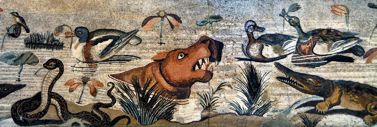Mosaikfrise fra Pompei (faunahus, casa del Fauno - nilotisk scene - dyreliv på Nilen: flodhest, krokodille, slange, ænder - romersk kunst - Arkæologisk museum i Napoli, Italien - Museo Archeologico Nazionale, Napoli, Italia - Foto Patrice Cartier - af Roman Roman