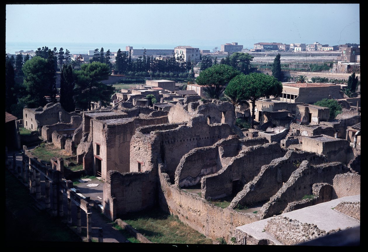 Panoramaudsigt over det arkæologiske sted, 5. århundrede f.Kr.-1. århundrede e.Kr af Roman Roman