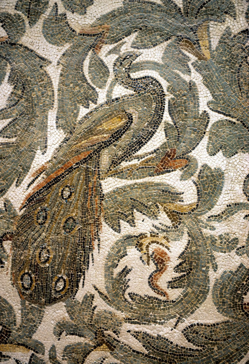 Påfugl, detalje af mosaik - 4. århundrede f.Kr., Bardo Museum, Tunis af Roman Roman