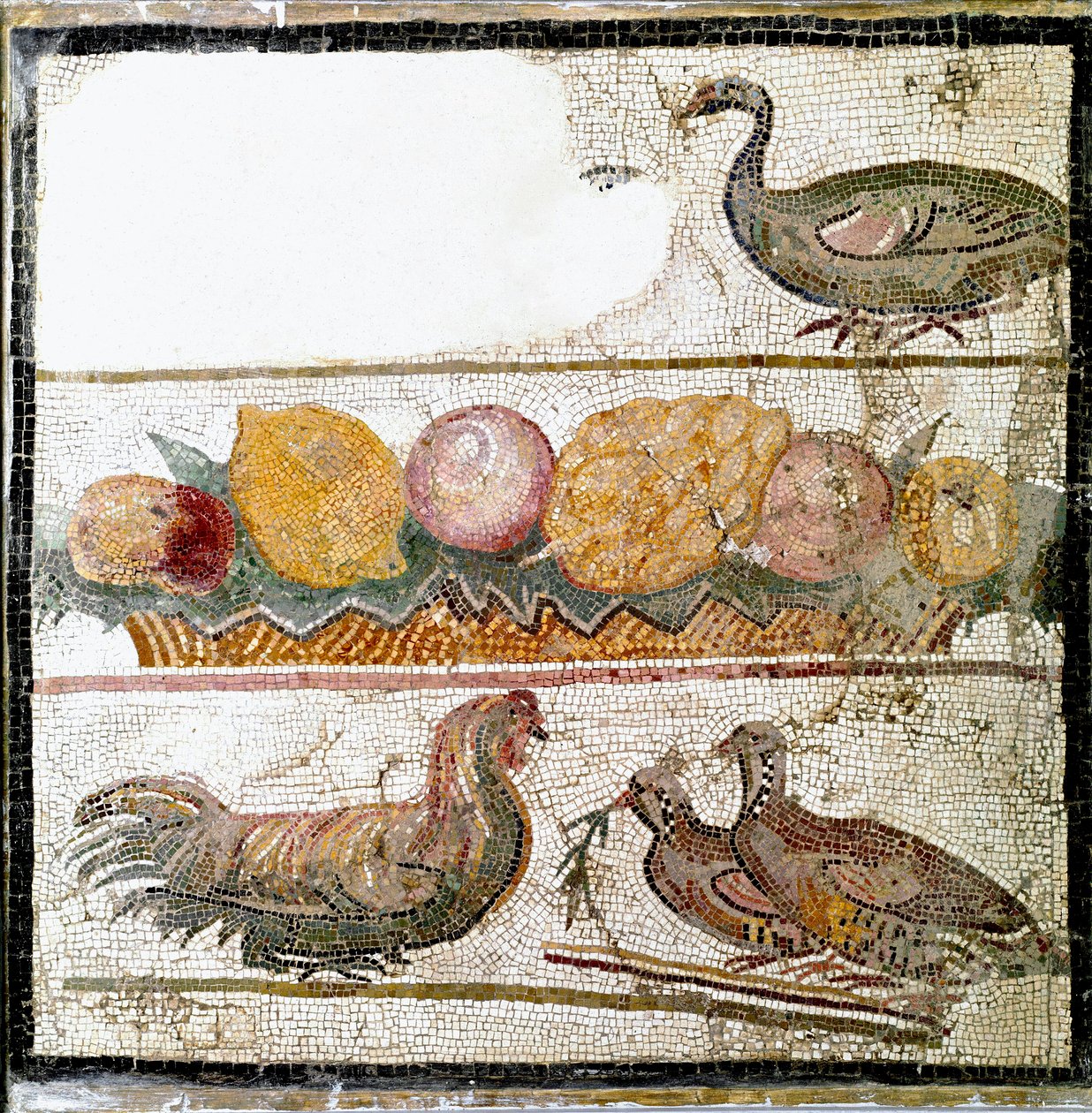 Romersk kunst: mosaik, der repræsenterer høns, gås, fjerkræ. Rom, National Roman Museum - Romersk kunst. Dyr og frugt, mosaik. National Roman Museum, Rom, Italien af Roman Roman