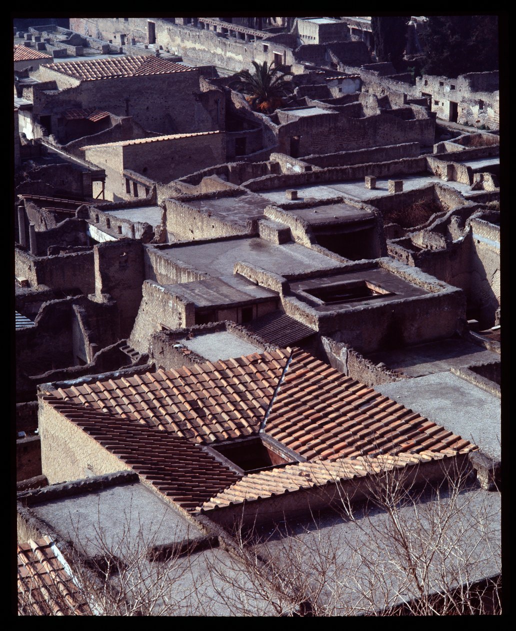 Udsigt over Casa sannitica, 5. århundrede f.Kr.-1. århundrede e.Kr af Roman Roman