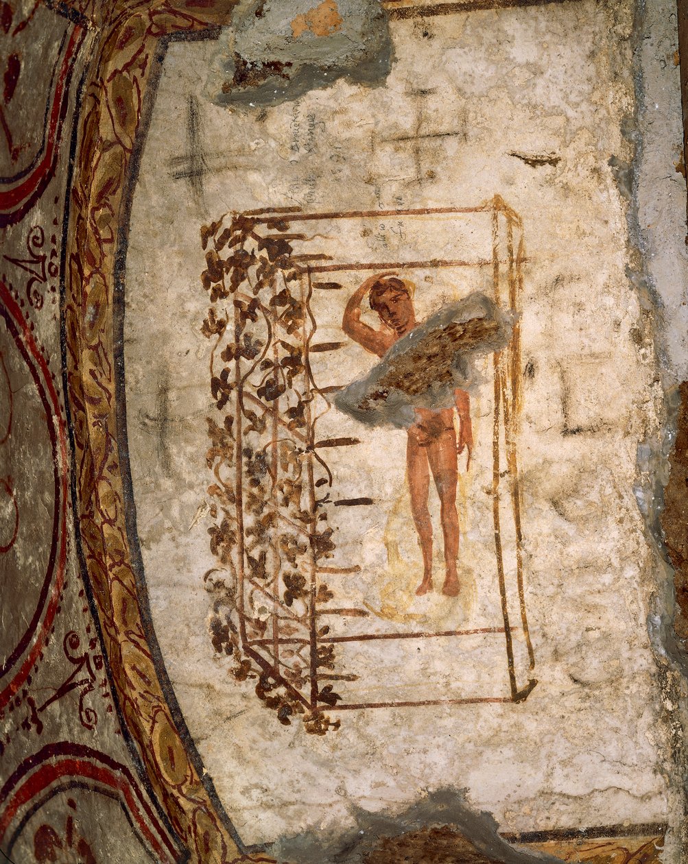 Ungdom, espalier og vinstokke, 3.-5. århundrede e.Kr. (fresko) af Roman Roman