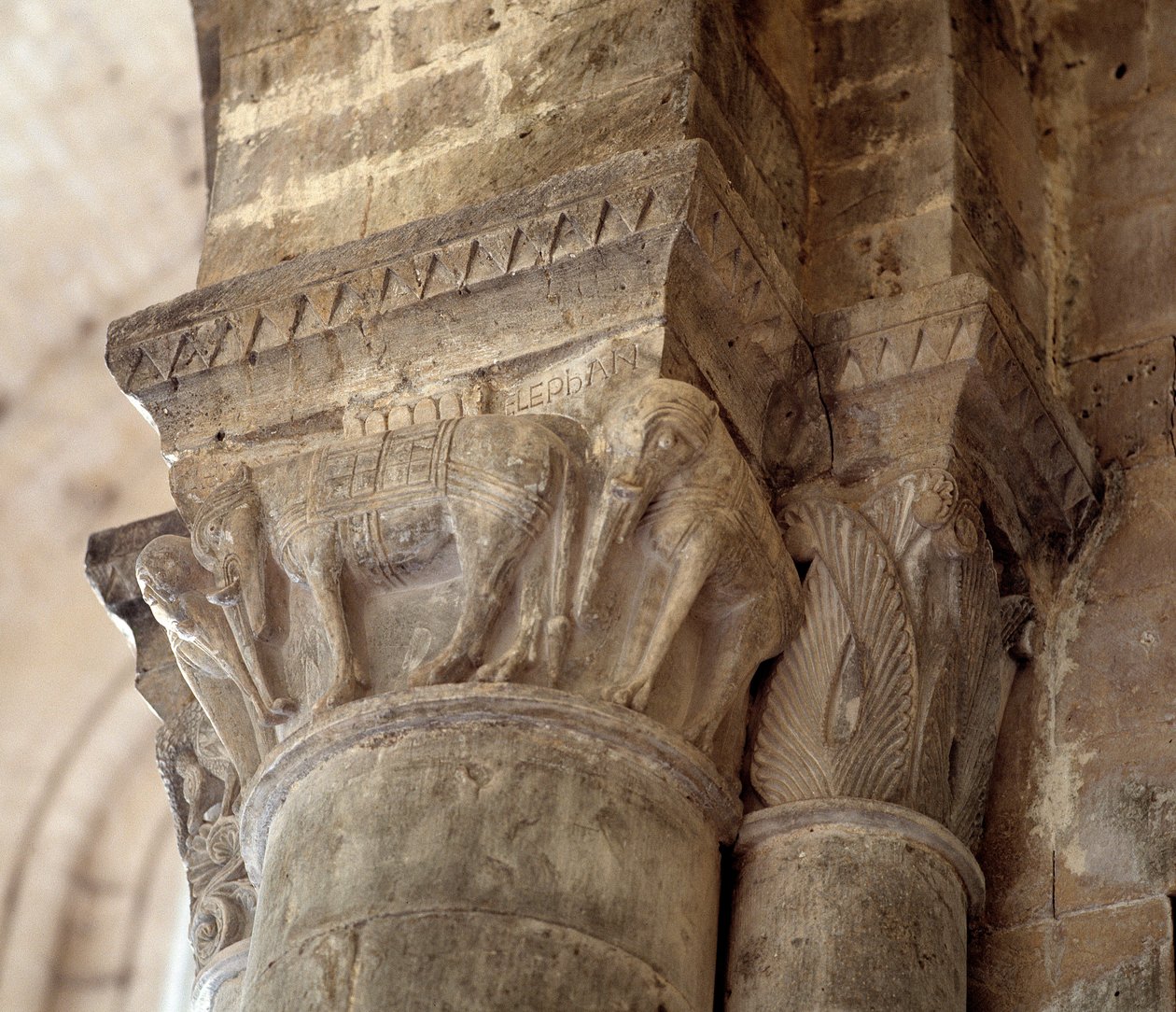 Elefanter (udskåret hovedstad i skibet af Romanesque