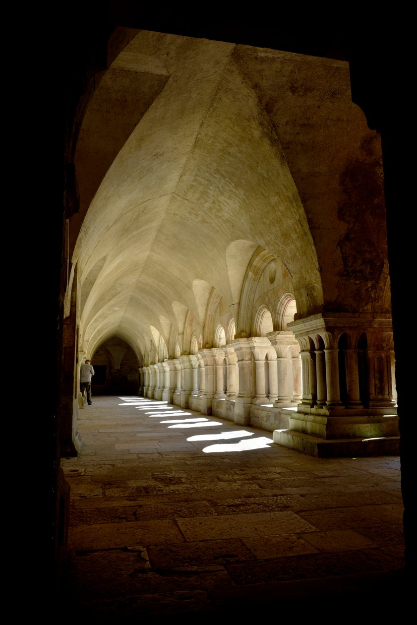 Romansk arkitektur: galleri for klostret i cistercienserklosteret Fontenay, Bourgogne af Romanesque