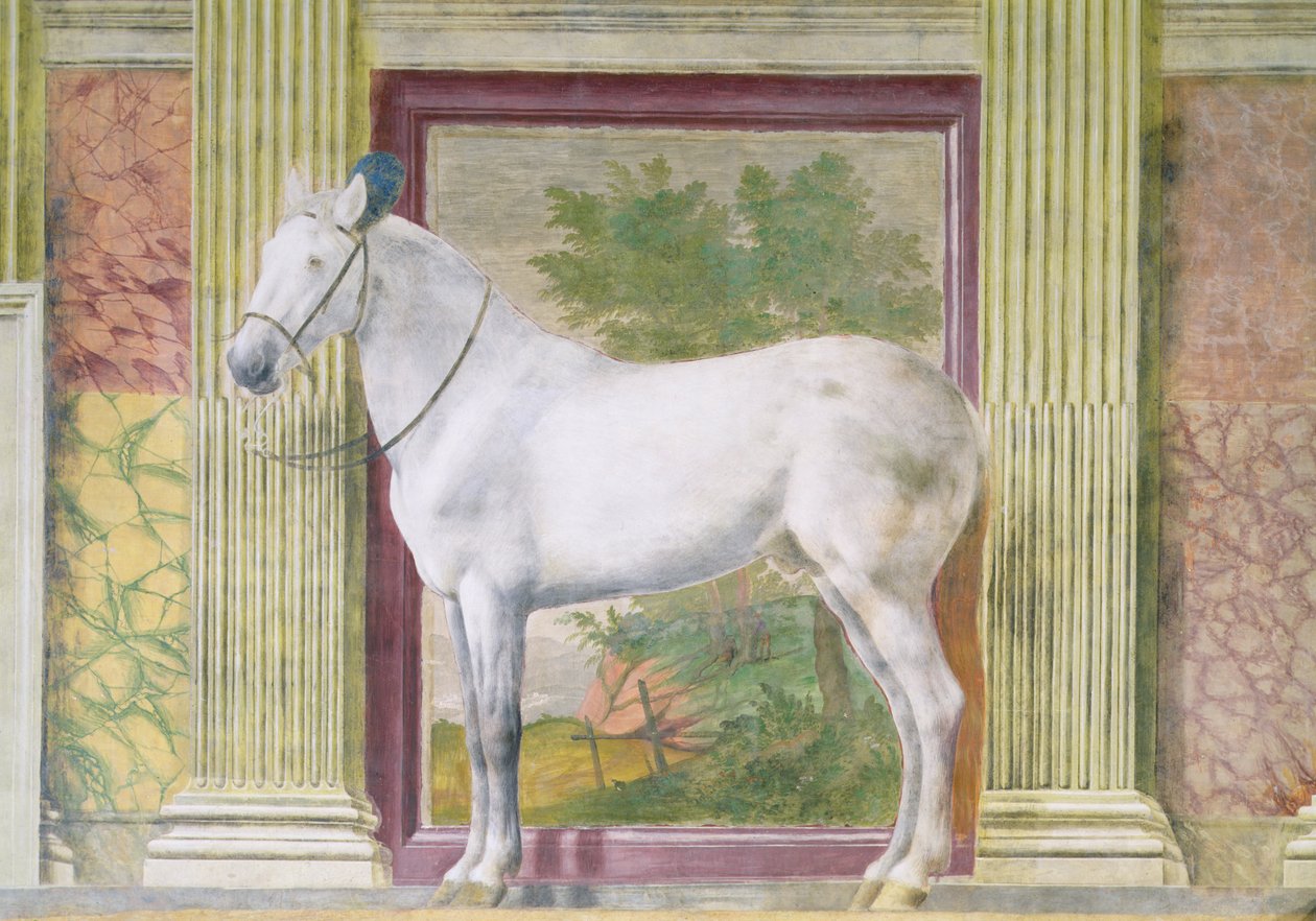 Hall of the Horses, detalje, der viser et portræt af en grå hest fra stalden af Ludovico Gonzaga III af Mantua af Romano Giulio