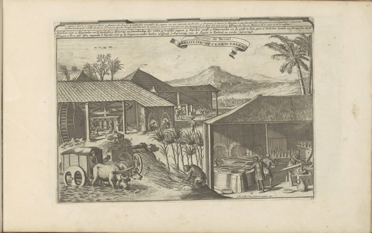 Brasilianske sukkerarbejdere Brasilise Suykerwerken / Slik fra Brasilien (titel på objekt) Øst- og Vestindien og andre steder (serietitel) af Romeyn de Hooghe