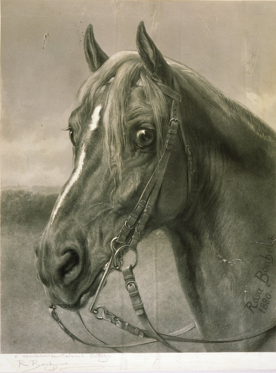 Til oberst Cody af Rosa Bonheur