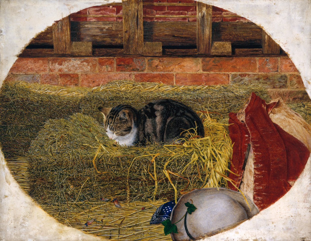 Catnap, 1858 af Rosa Brett