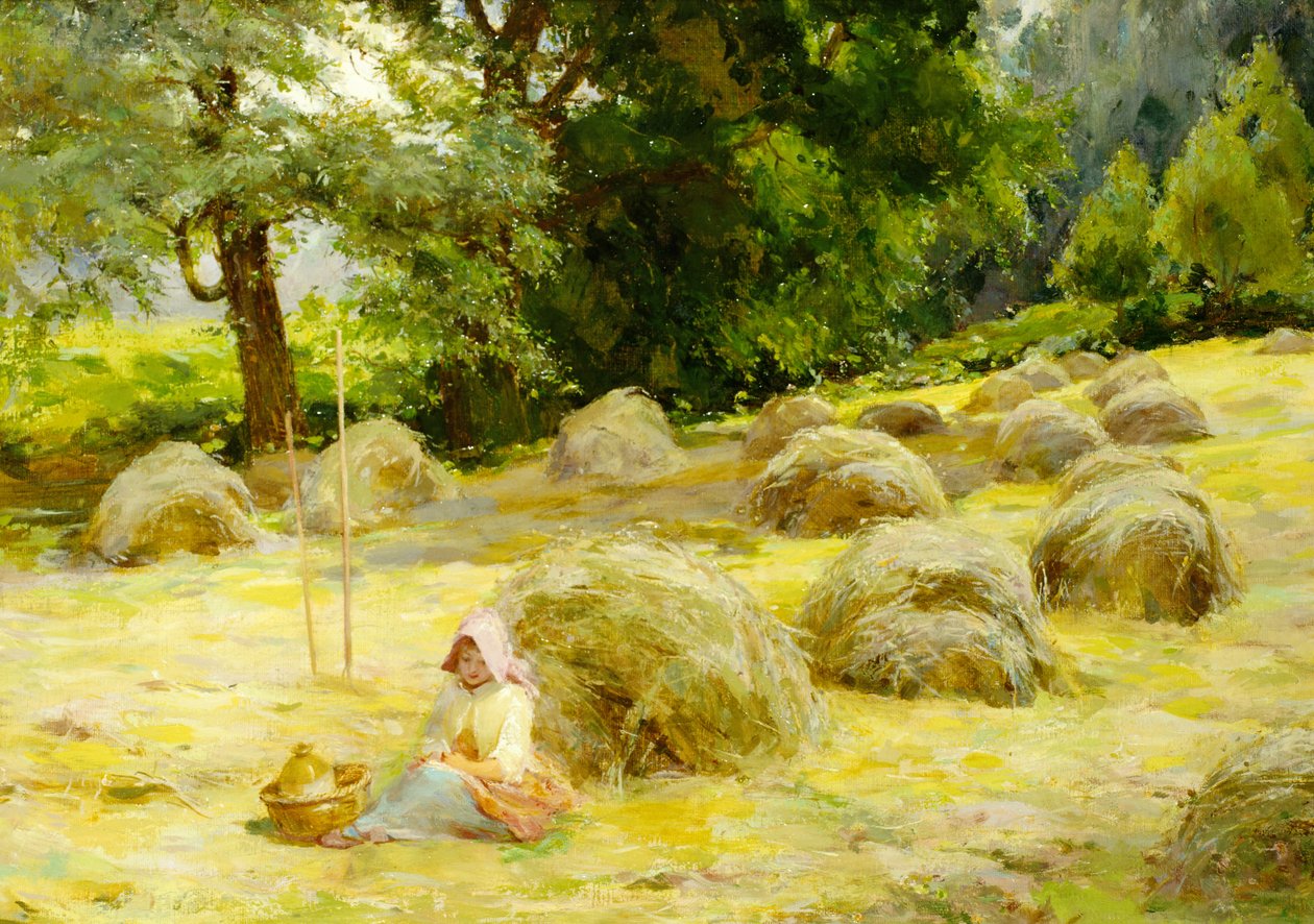 hitm af Rosa Appleton