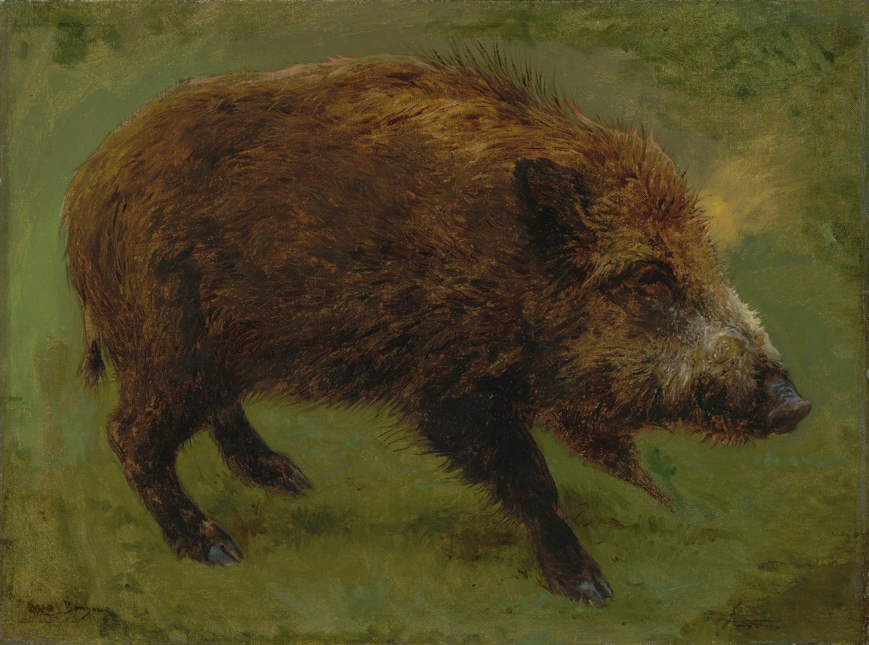 Fransk:  Le sanglier Vildsvin af Rosa Bonheur