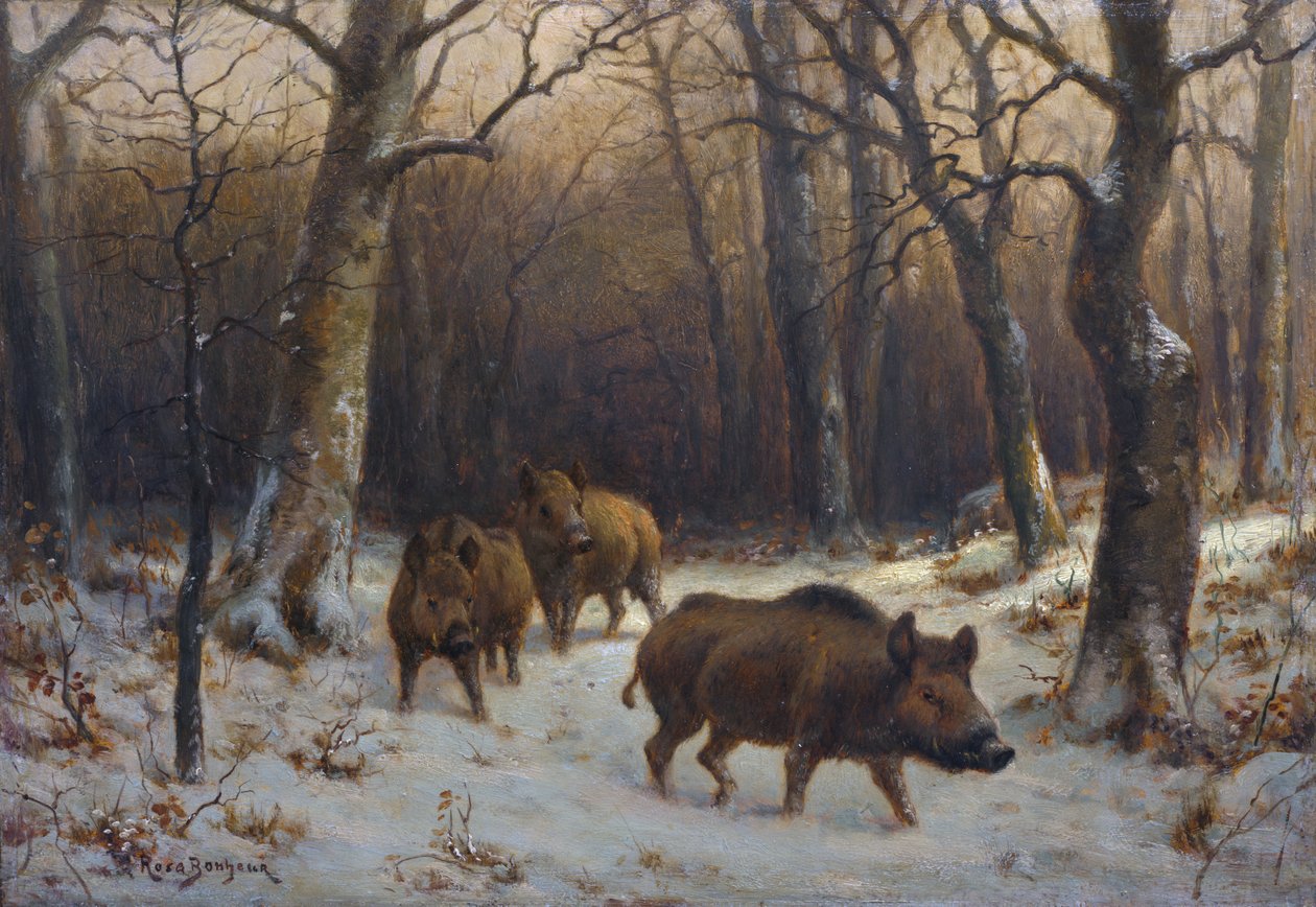 Fransk:  Sangliers dans la neige Vildsvin i sneen af Rosa Bonheur