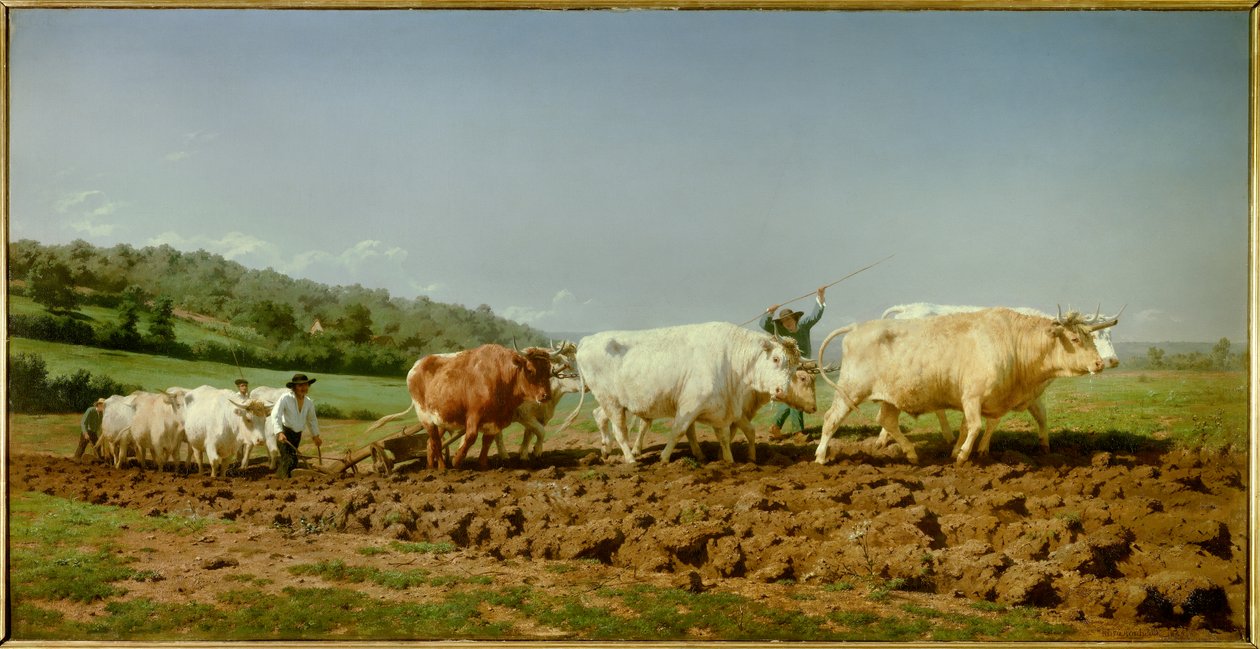 Nivernais-pløjningen, det synkende Maleri af Marie Rosalie Bonheur dit Rosa Bonheur (1822-1899) 1849 Søn. 1,3x2,6m Paris, Musee d