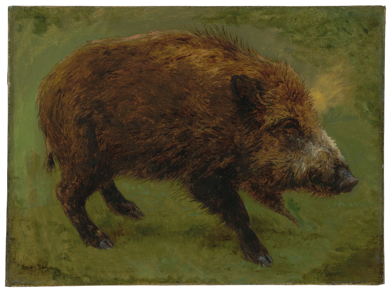 Vildsvin (olie på lærred) af Rosa Bonheur